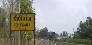पीपीगंज रेलवे स्टेशन पर फुट ओवरब्रिज एवं शेड निर्माण के लिये टेंडर हुआ जारी।